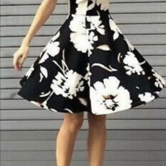 Maeve Armory Black Motif Fit & Flare Dress - Picture 3 of 8